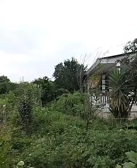 فروش خانه در بندرگز روستای لیوان شرقی