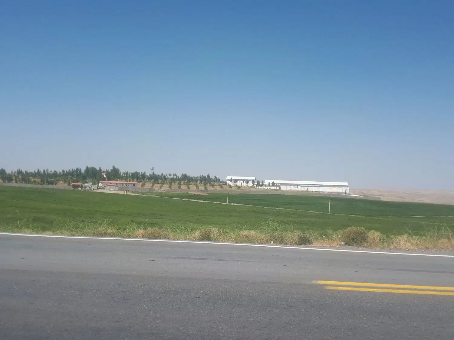 اجاره مرغداری تخمگذار ۱۲۱هزار قطعه ی فول اتوماتیک