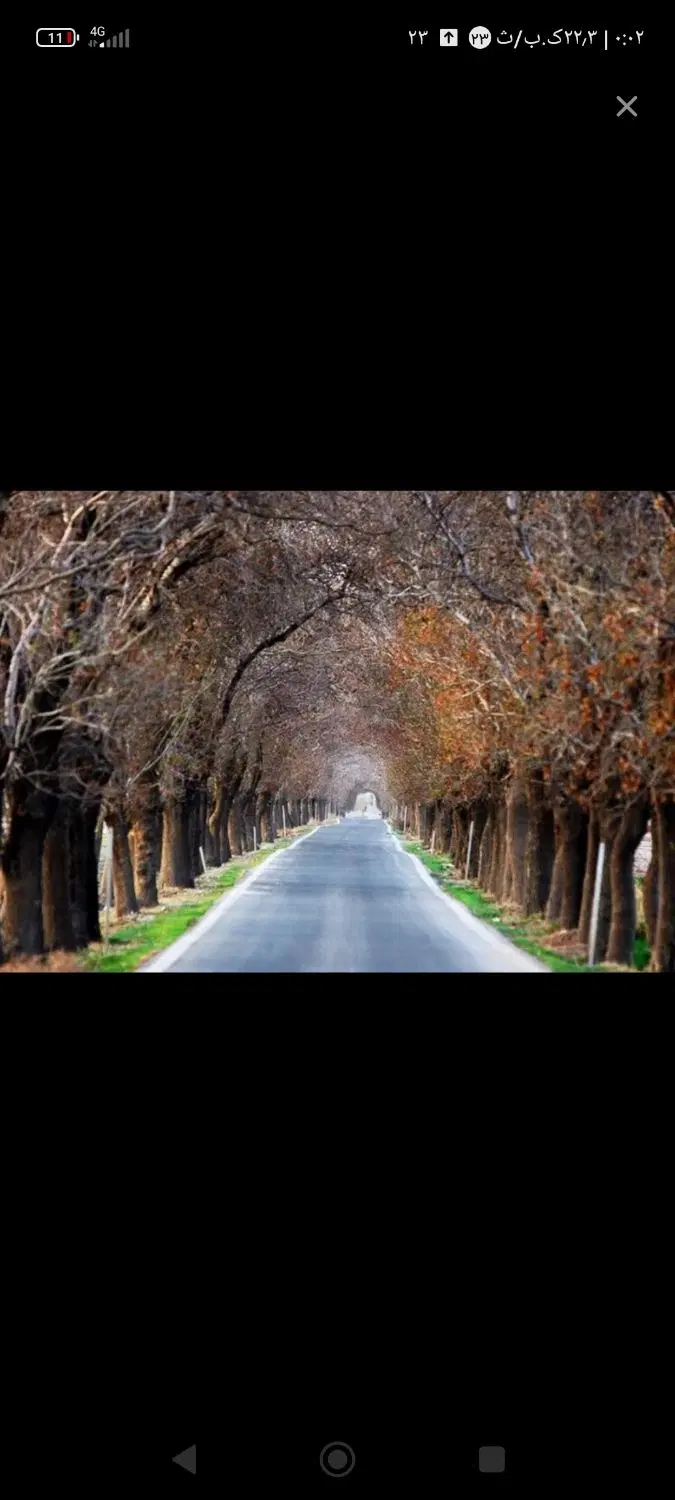 باغ شهری