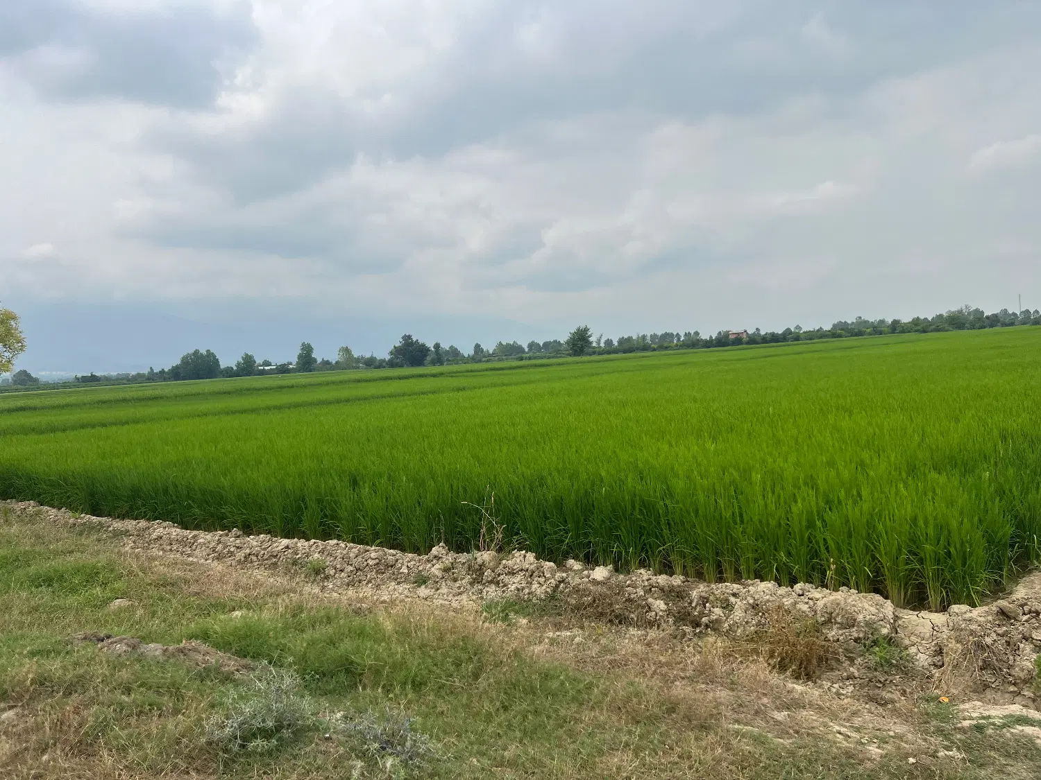 فروش زمین خانه سری داخل بافت ( مسکونی )