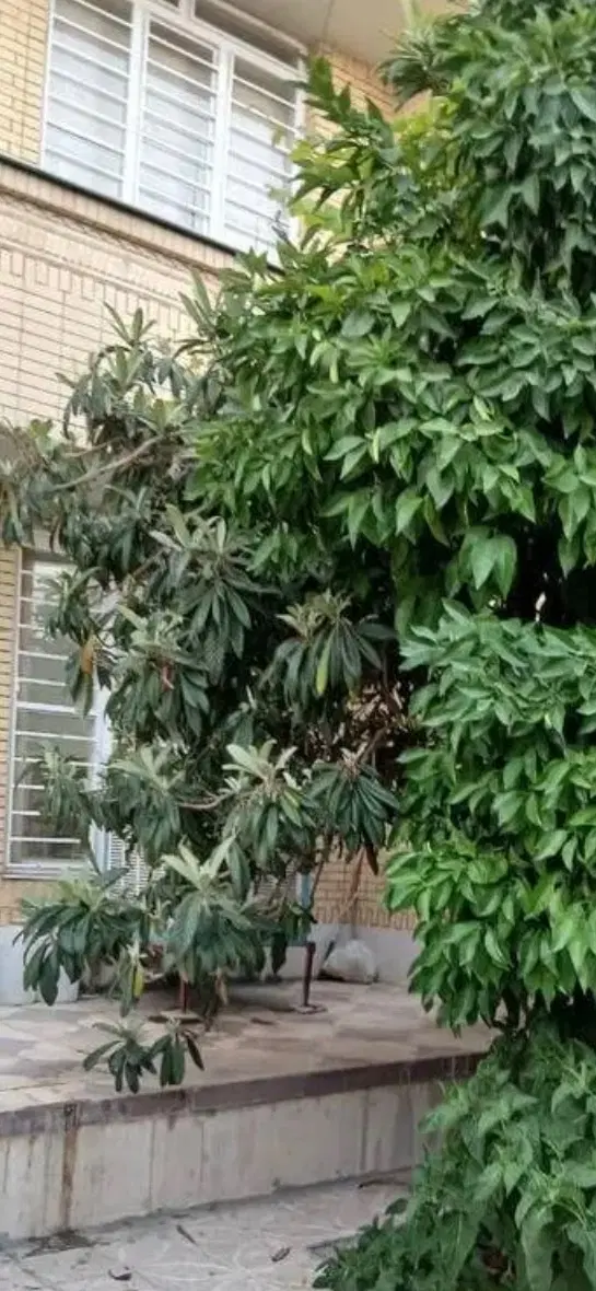 دو خواب ویلایی_ سالن بزرگ _ صدرا فاز۲_خیابان دریا