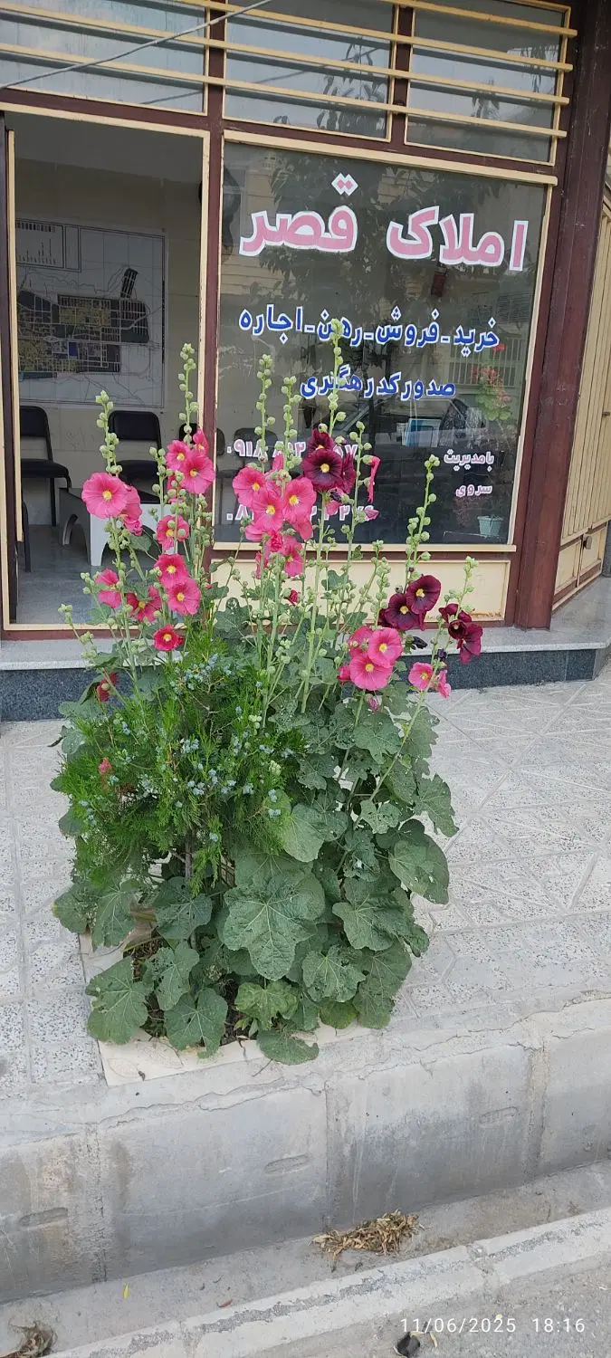 اجاره واحد مسکونی 65 متری رزن