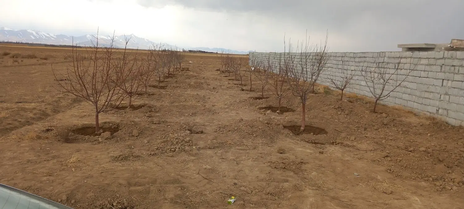 زمین باغی مراد اباد