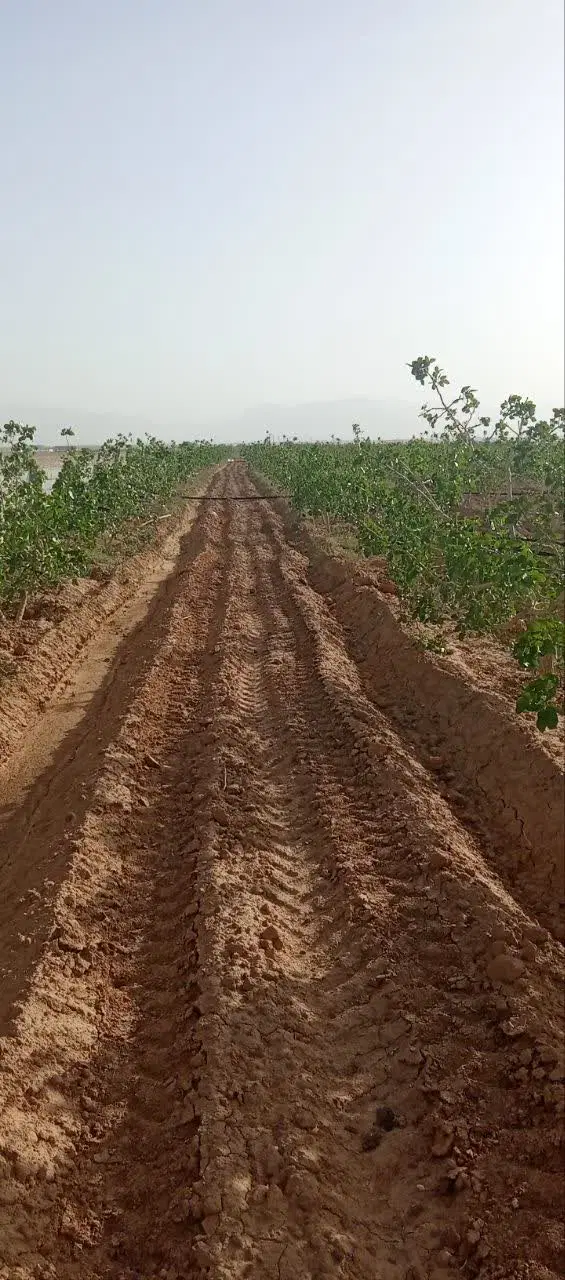 زمین با سند تک برگ و آب سود آور