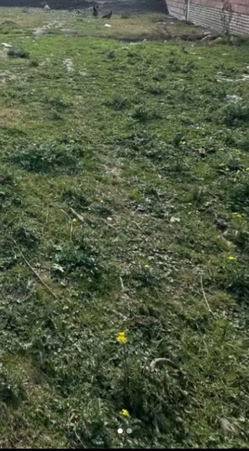 زمین فروشی  در شهرک بنفشه ۸