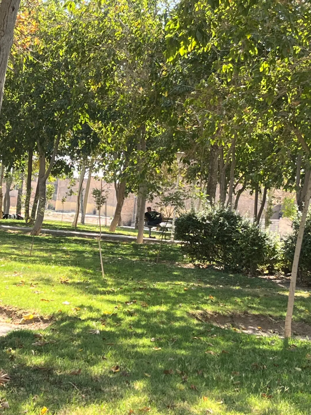 قطعه زمین باغی ۱۰۰۰متر حتم آباد فروش فوری