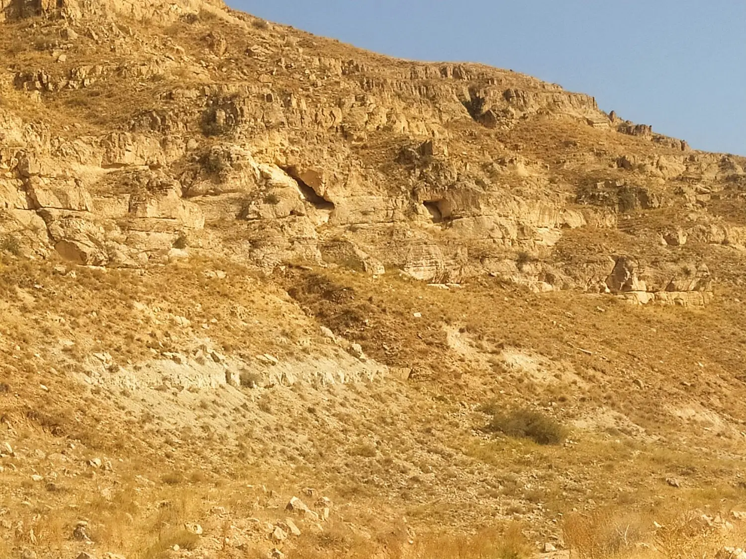 زمین مسکونی