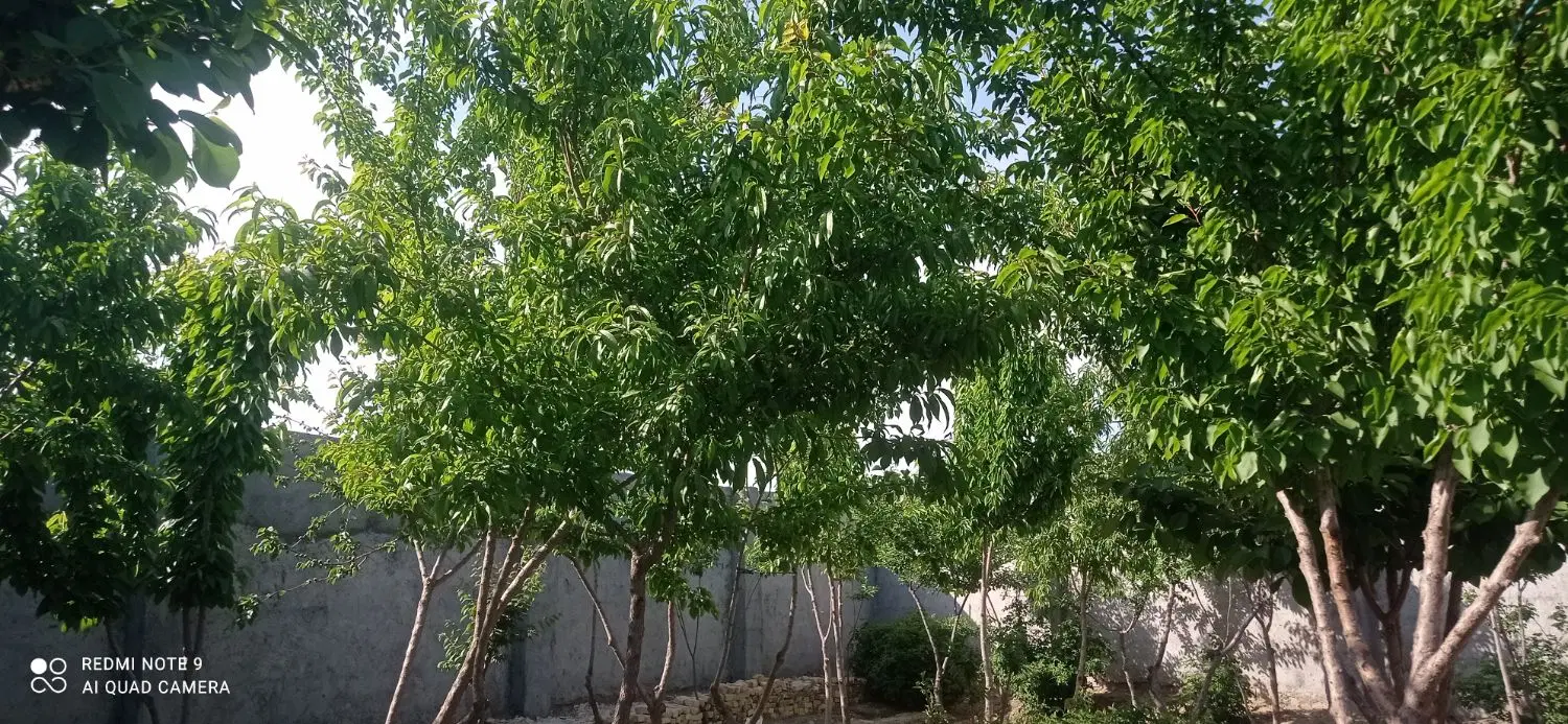 زمین فروشی