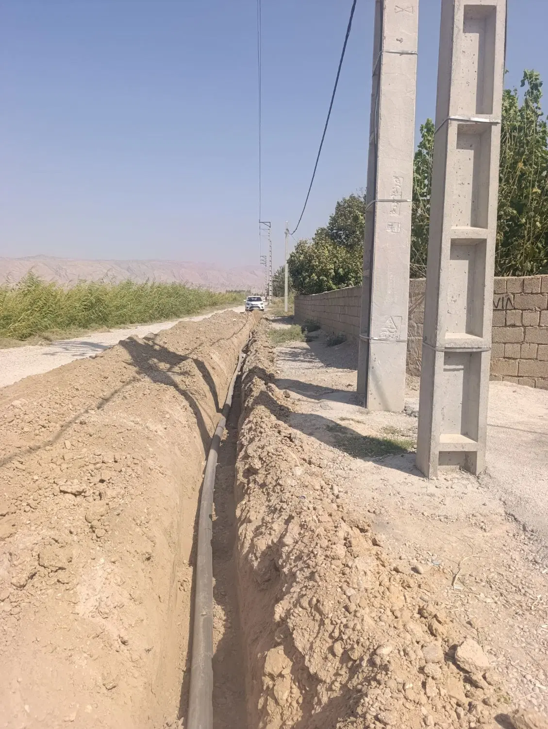 یک قطعه باغ (منصوریه)