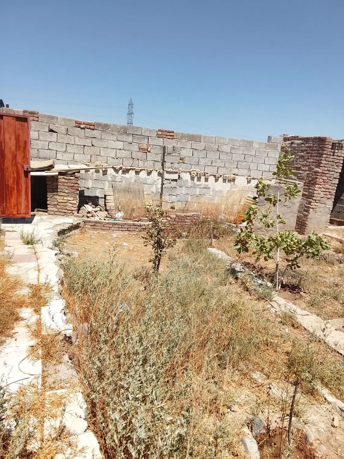 باغ حصارشده