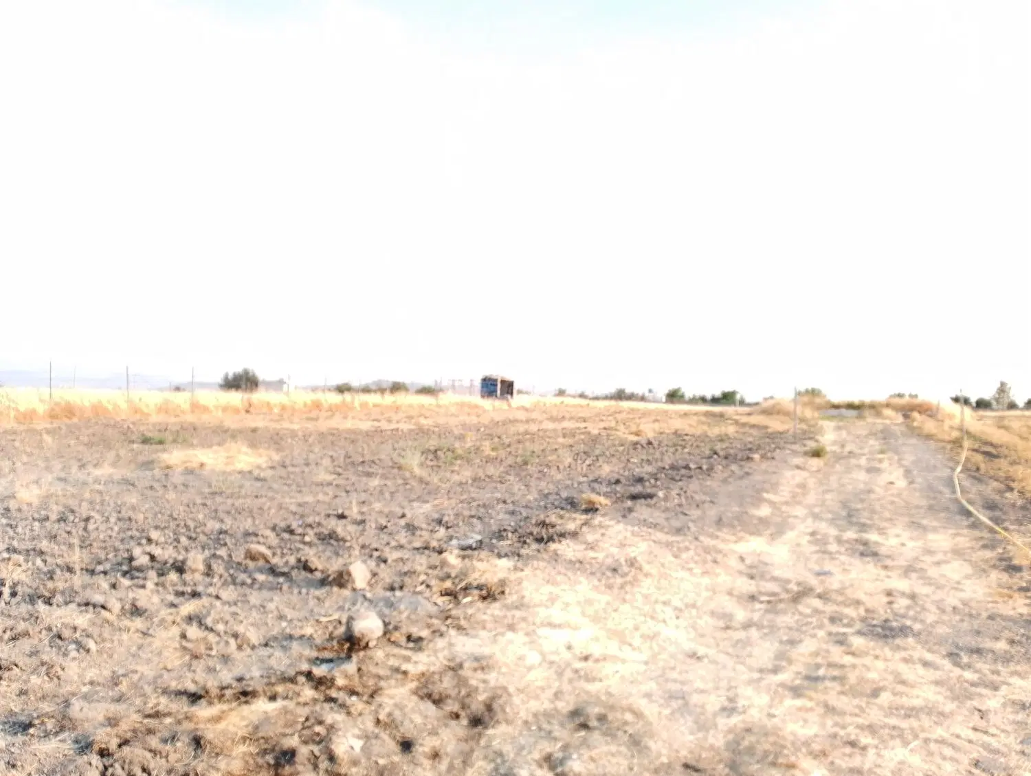 زمین باغی جاده روانسر