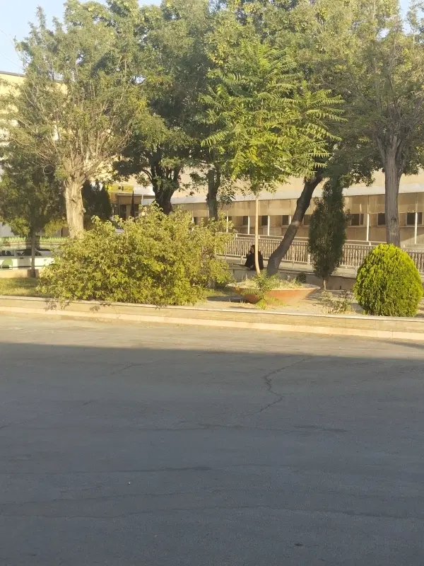 زمین 180متری