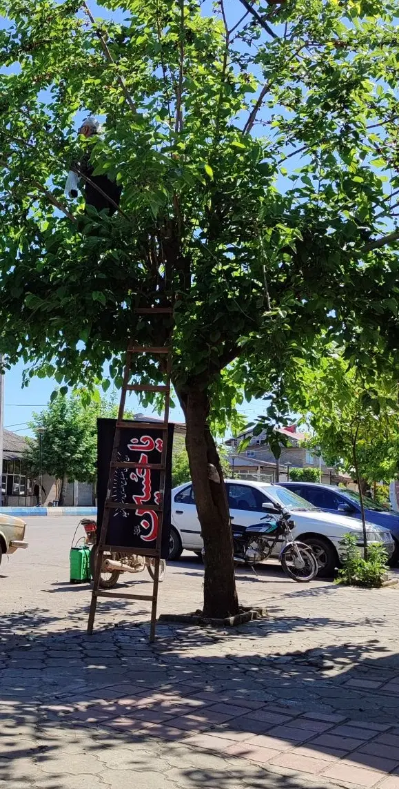 فروش مغازه