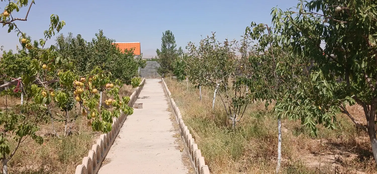 باغ ، ویلا ، زمین خالی