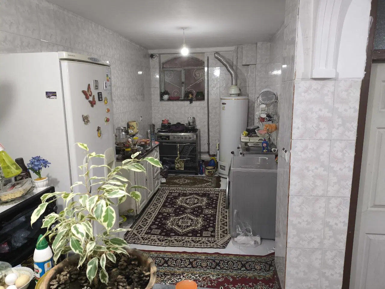 اجاره خانه در کوی لاله