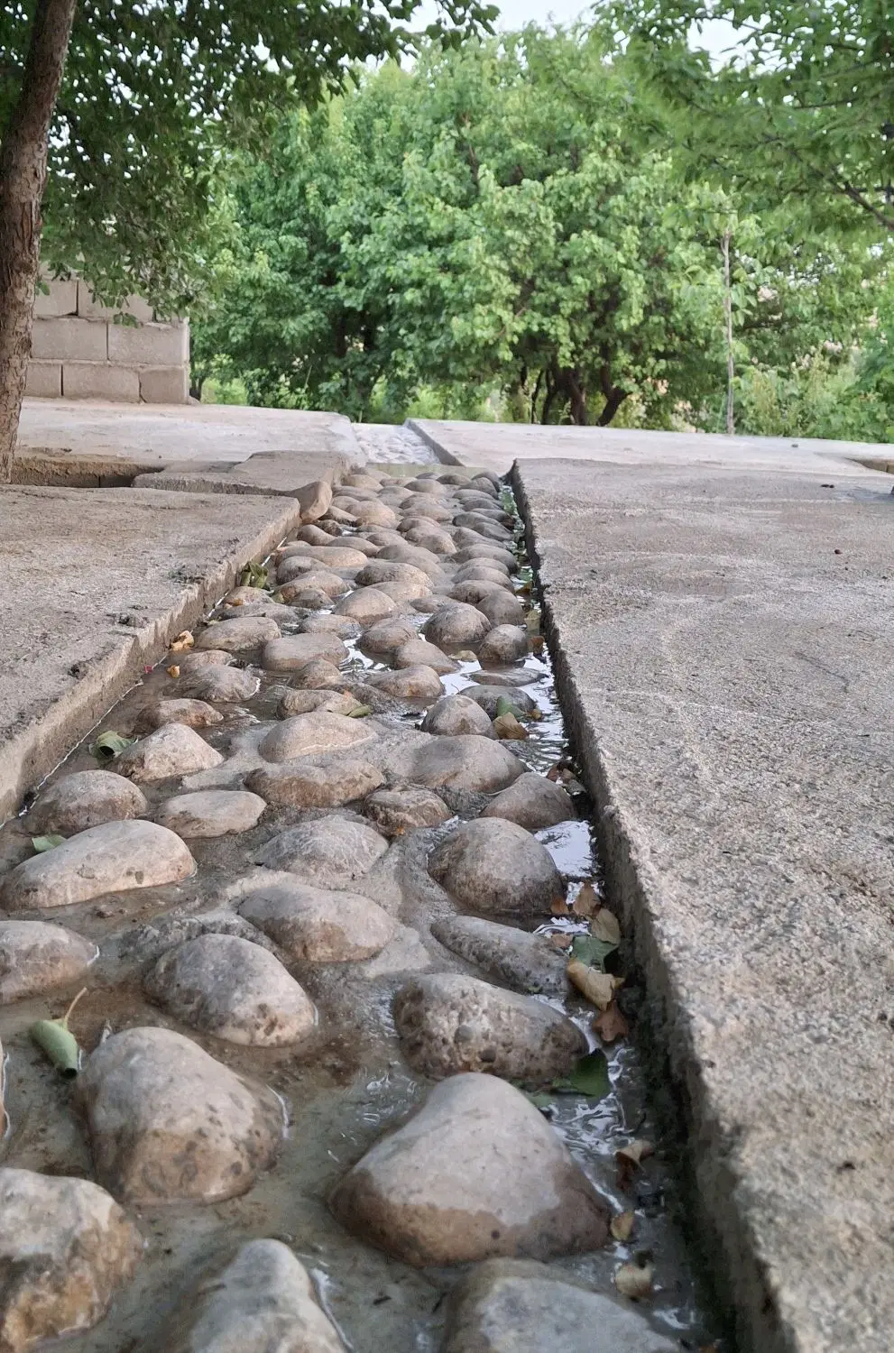 فروش زمین مسکونی دهنو بوستان اول