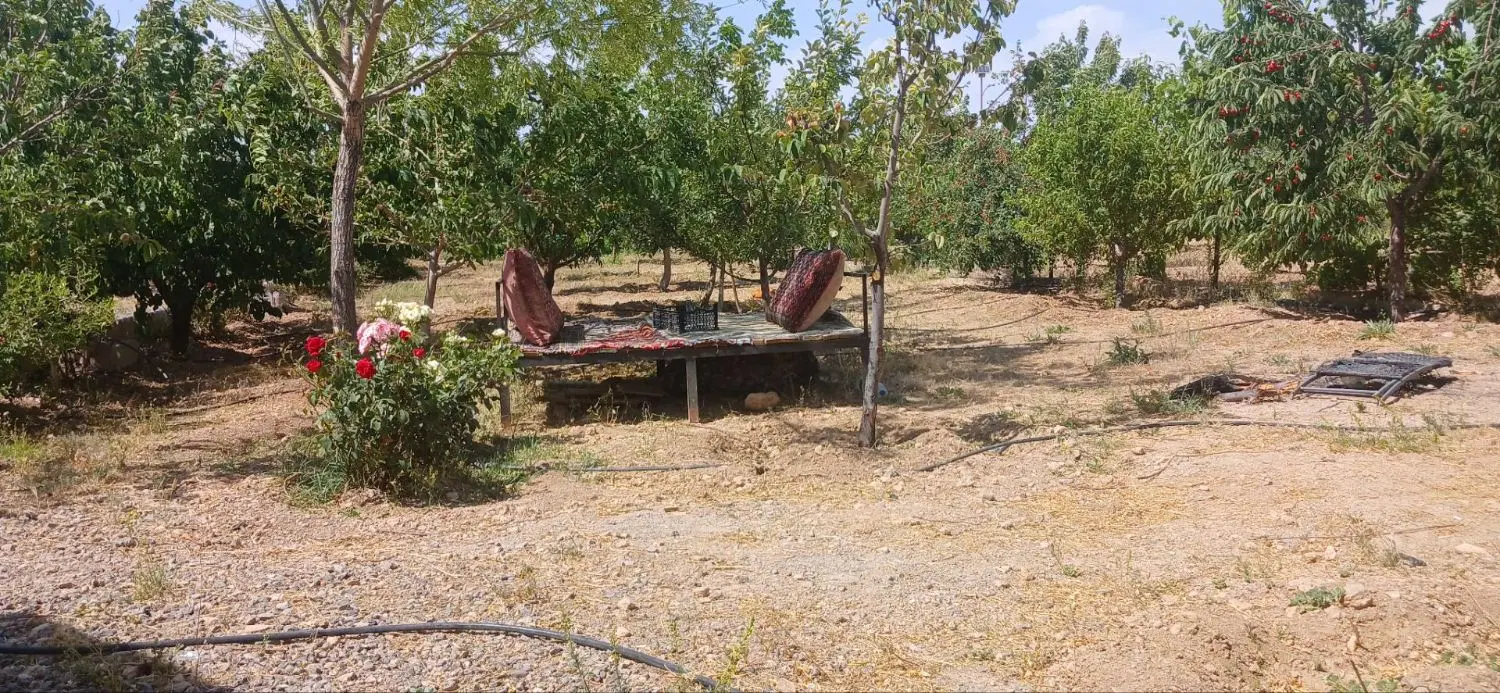 زنجان باغ فردوس فاز یک قطعه ۵۰