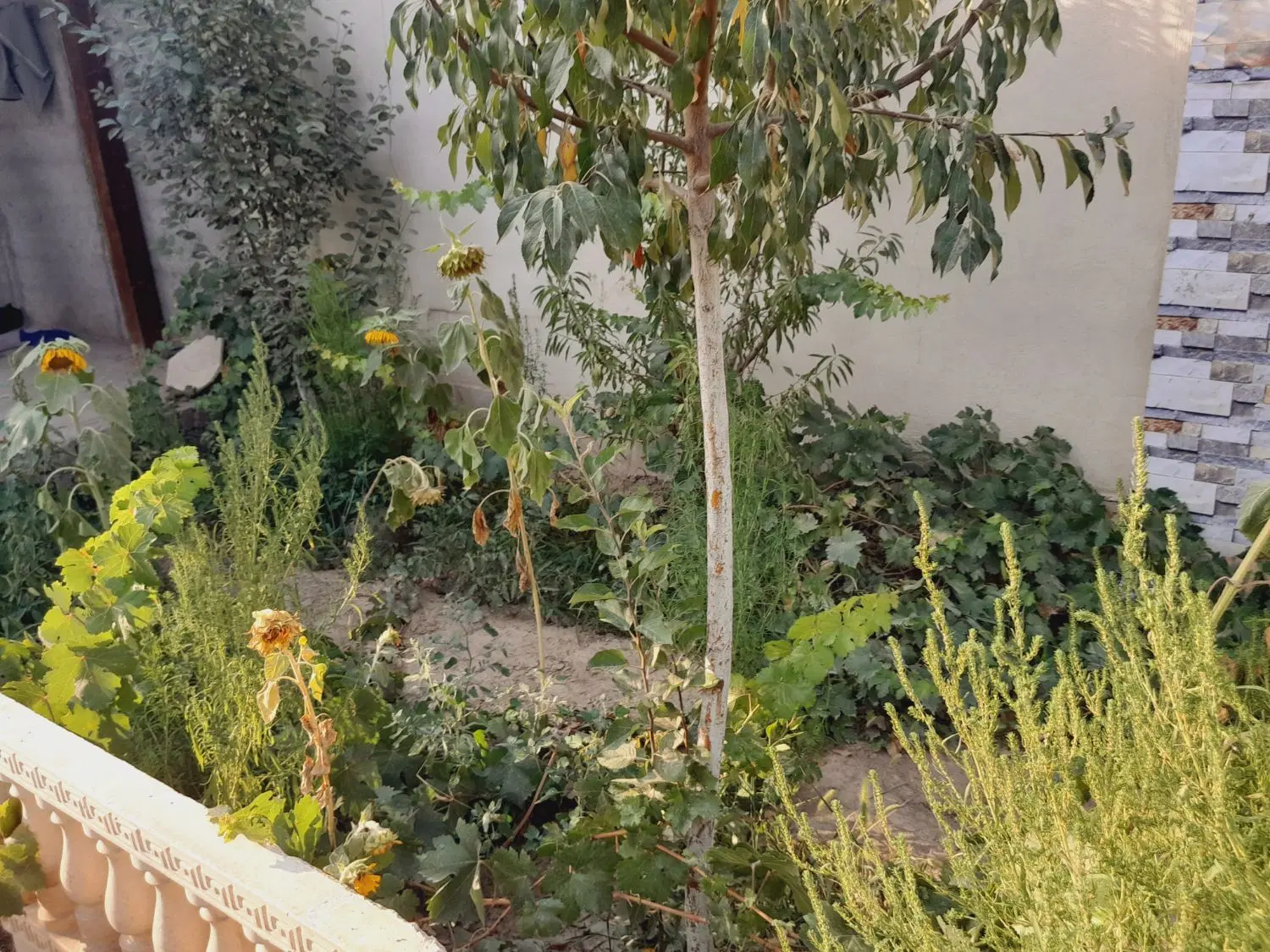 باغچه فروشی