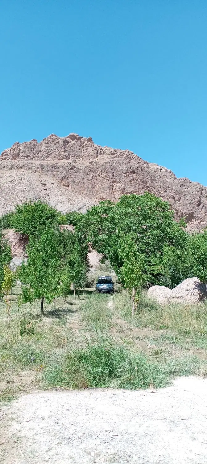 باغ میوه با آب 24 ساعته جاده گوارشک روستا میانمرغ