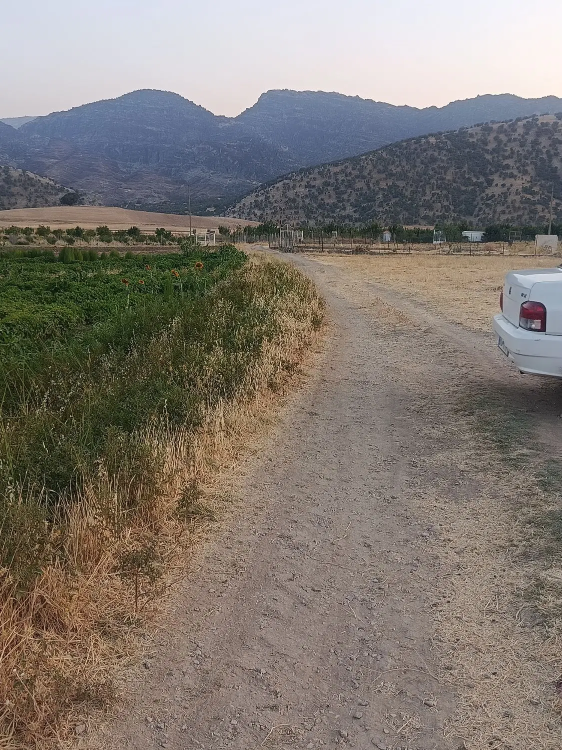 زمین باغ و کشاورزی نزدیک طرح هادی (رباط)