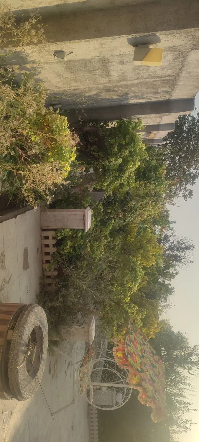 باغ