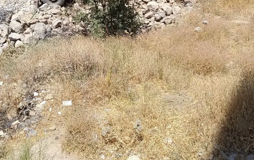 زمین مسکونی مدنی فاز دو  سوددهی بالا
