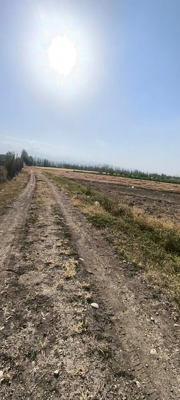 زمین 700 متر گرجان