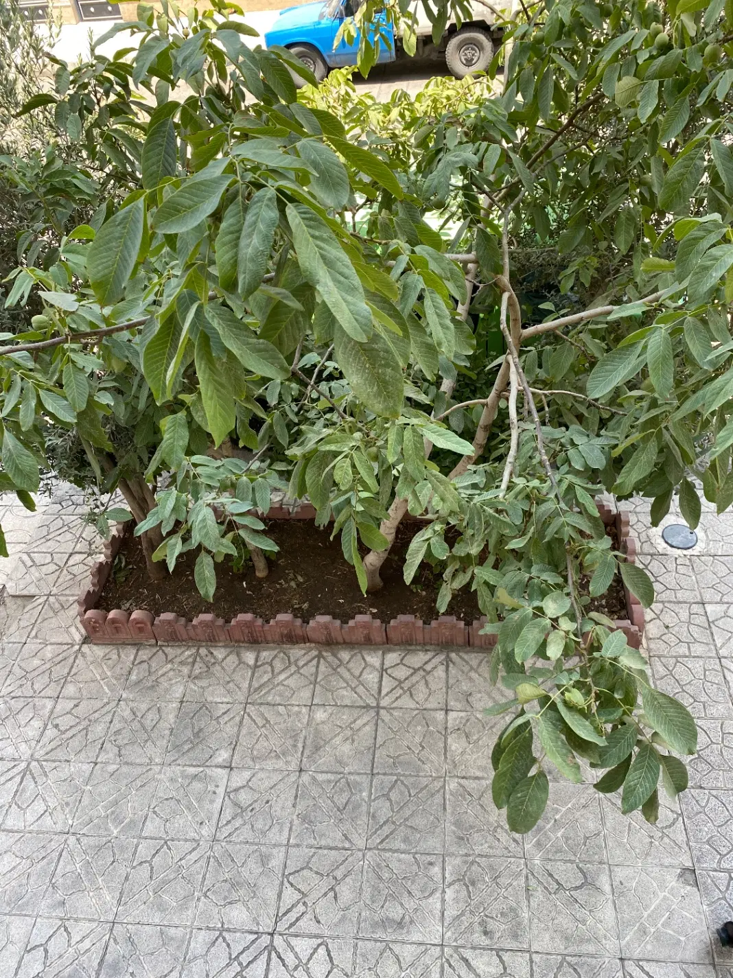 رهن و اجاره تک واحدی در حصارک بالا