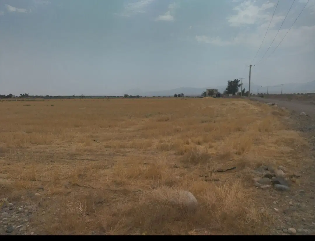 زمین کشاورزی