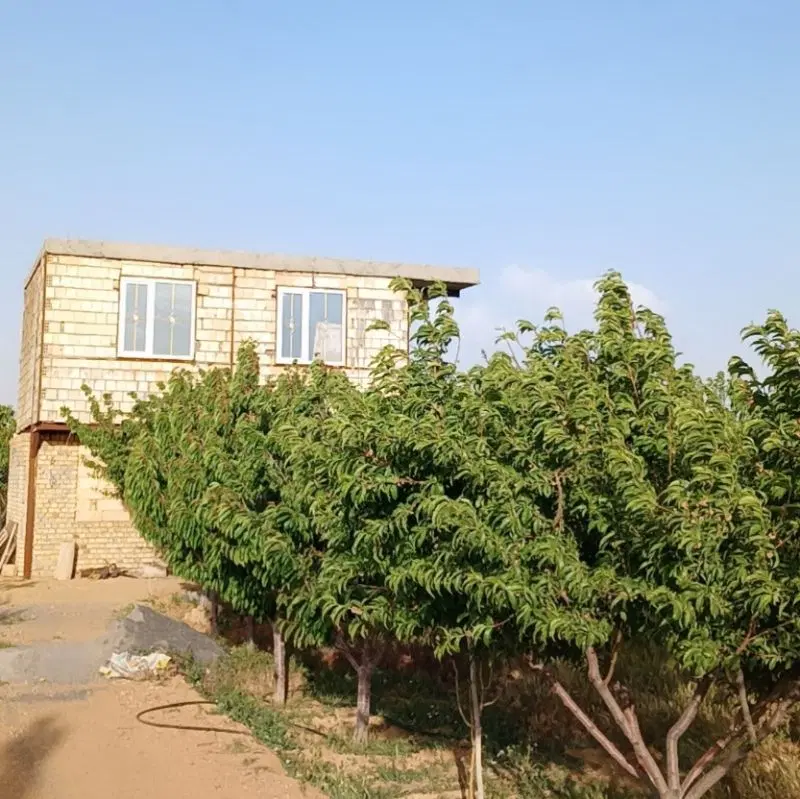 باغ ویلا فروشی