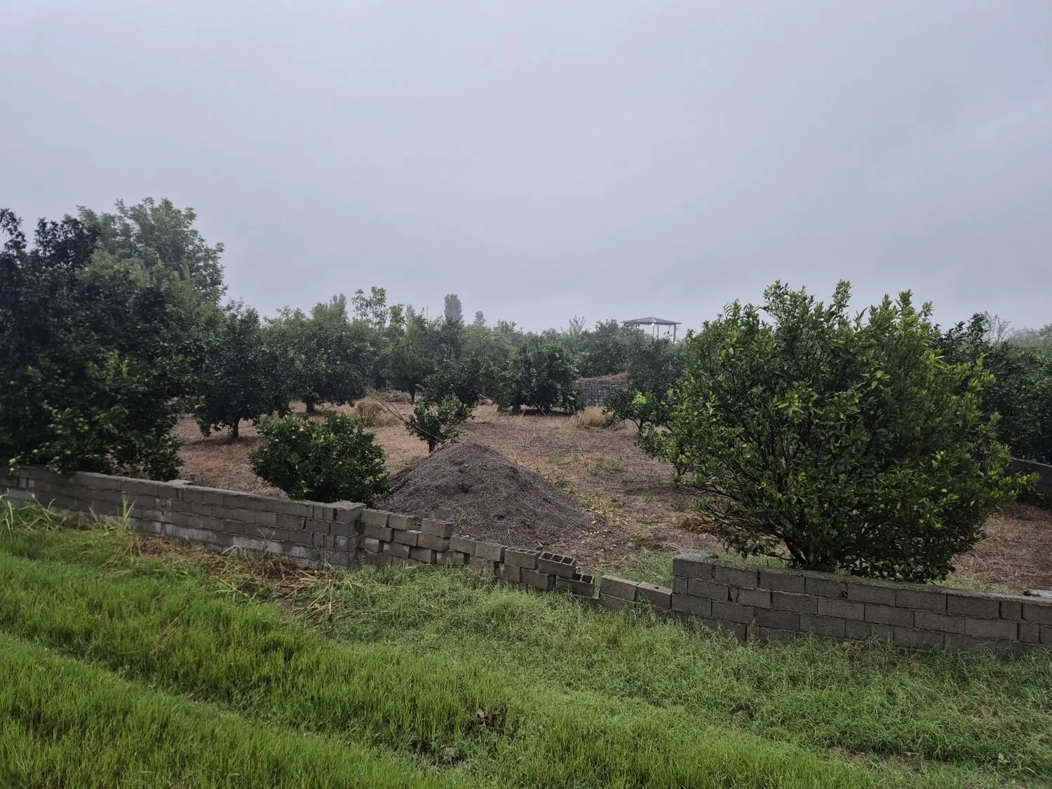 زمین مسکونی و تجاری