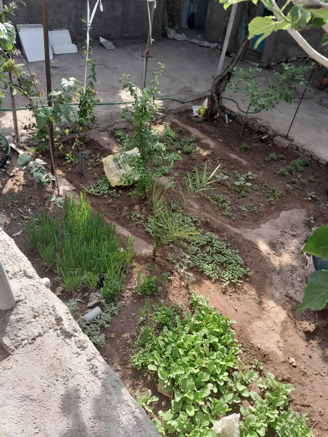 اجاره خونه ویلایی