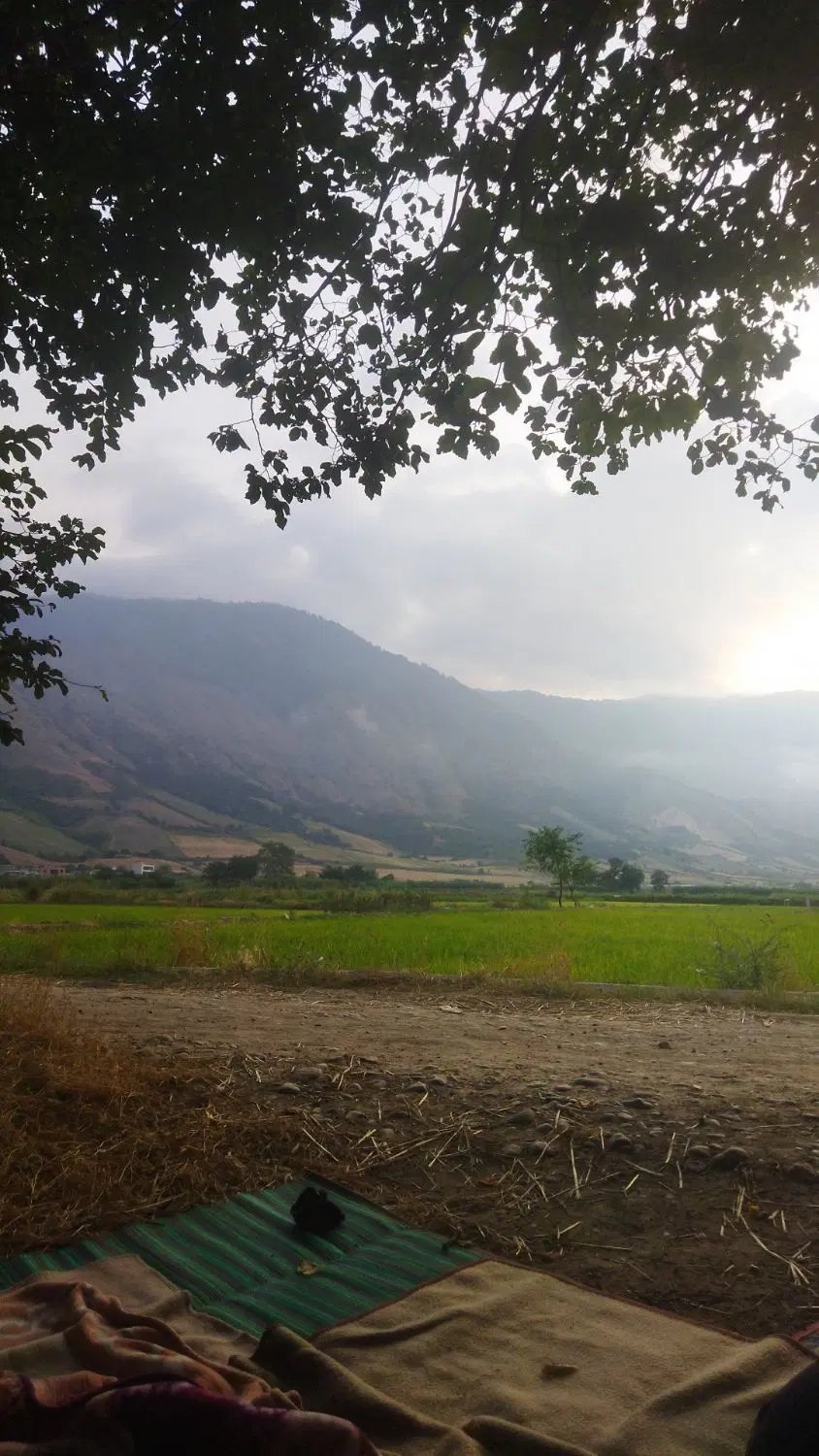 حیات ویلایی حاشیه