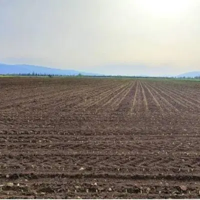 زمین کشاورزی