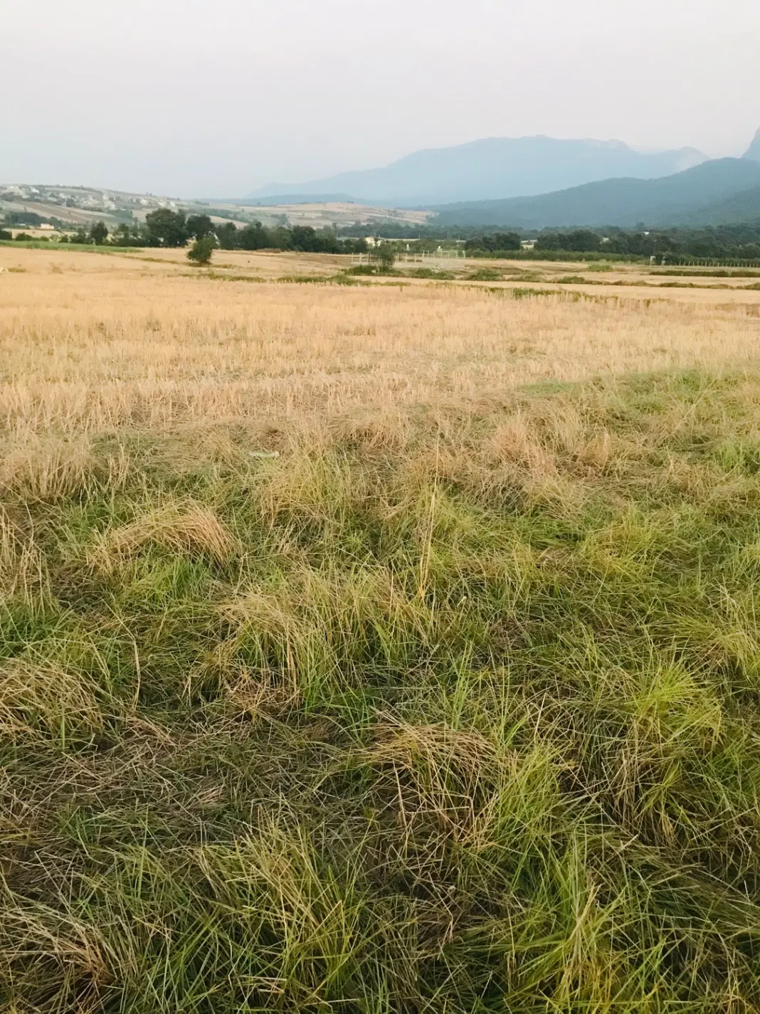 معاوضه زمین با خودرو