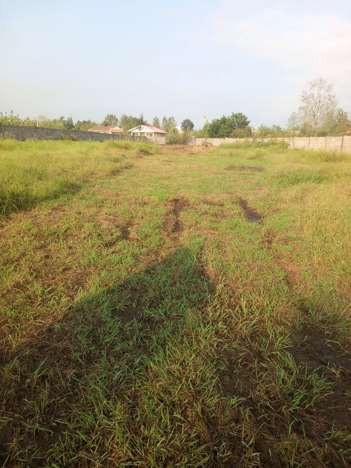 زمین مسکونی وباغی