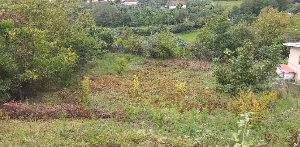 فروش زمین مسکونی