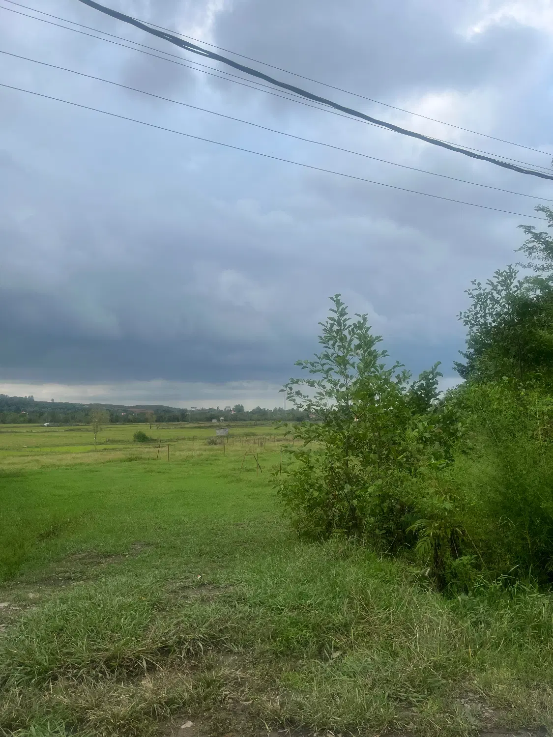 ۲۵۰متر زمین مسکونی روستای لیش