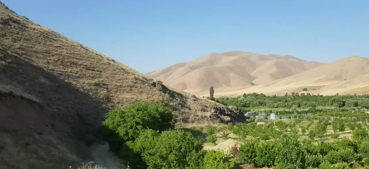 فروش باغ قلیان