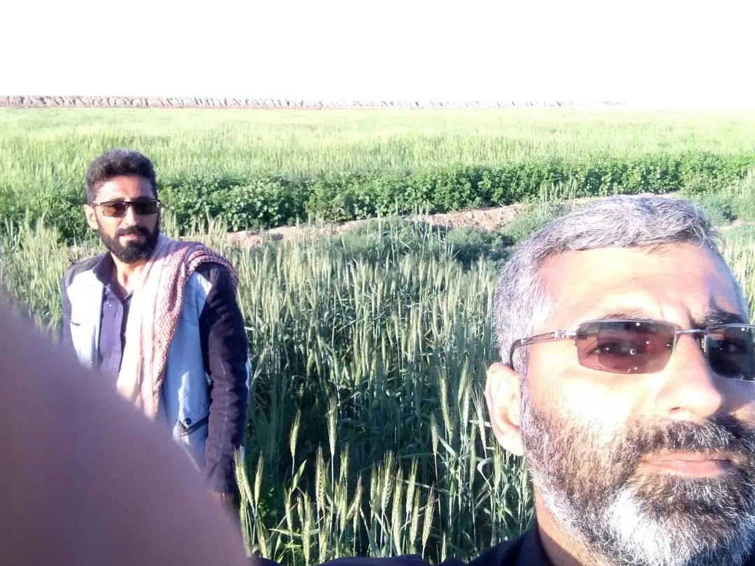 زمین کشاورزی