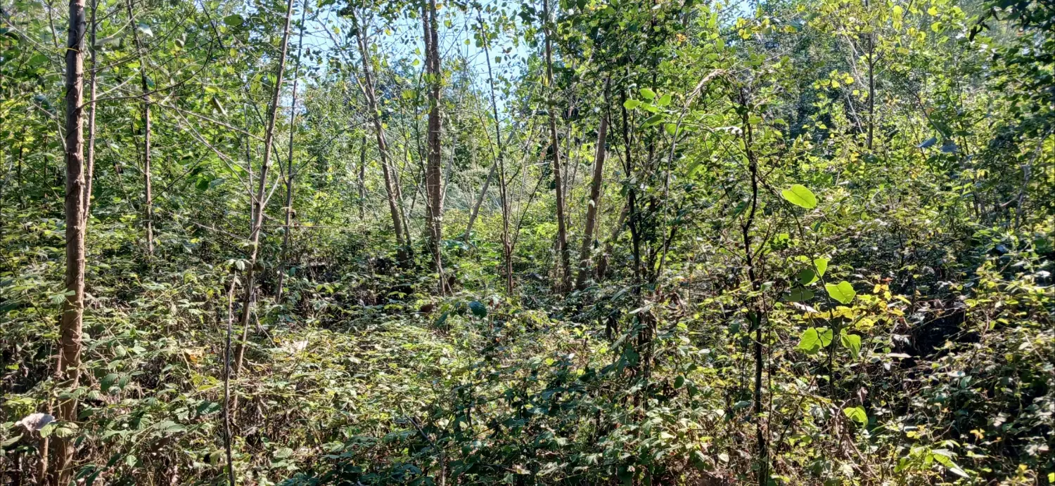 زمین مسکونی بالای۴۰۰۰متر،دارای سندبنچاق