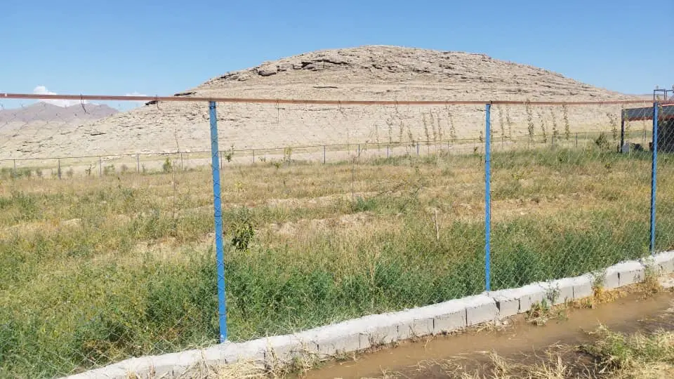 زمین باغ در روستای رند