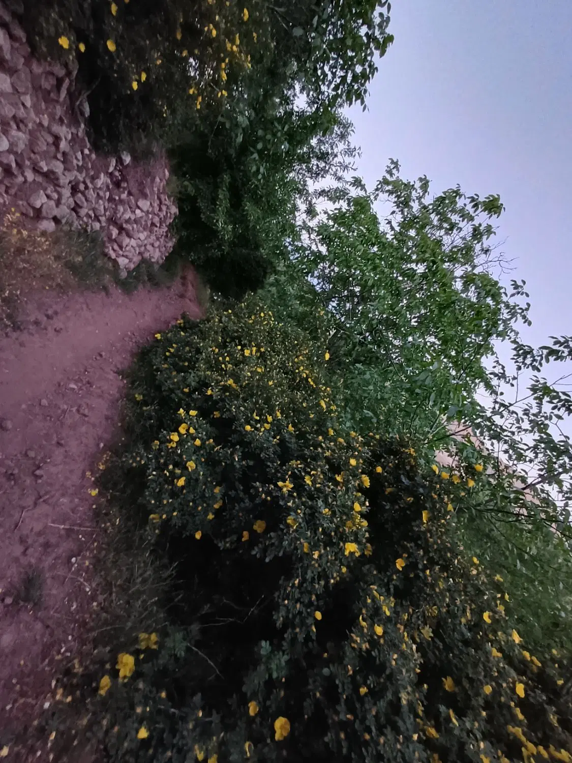 فروش باغ در غرق اباد ساوه