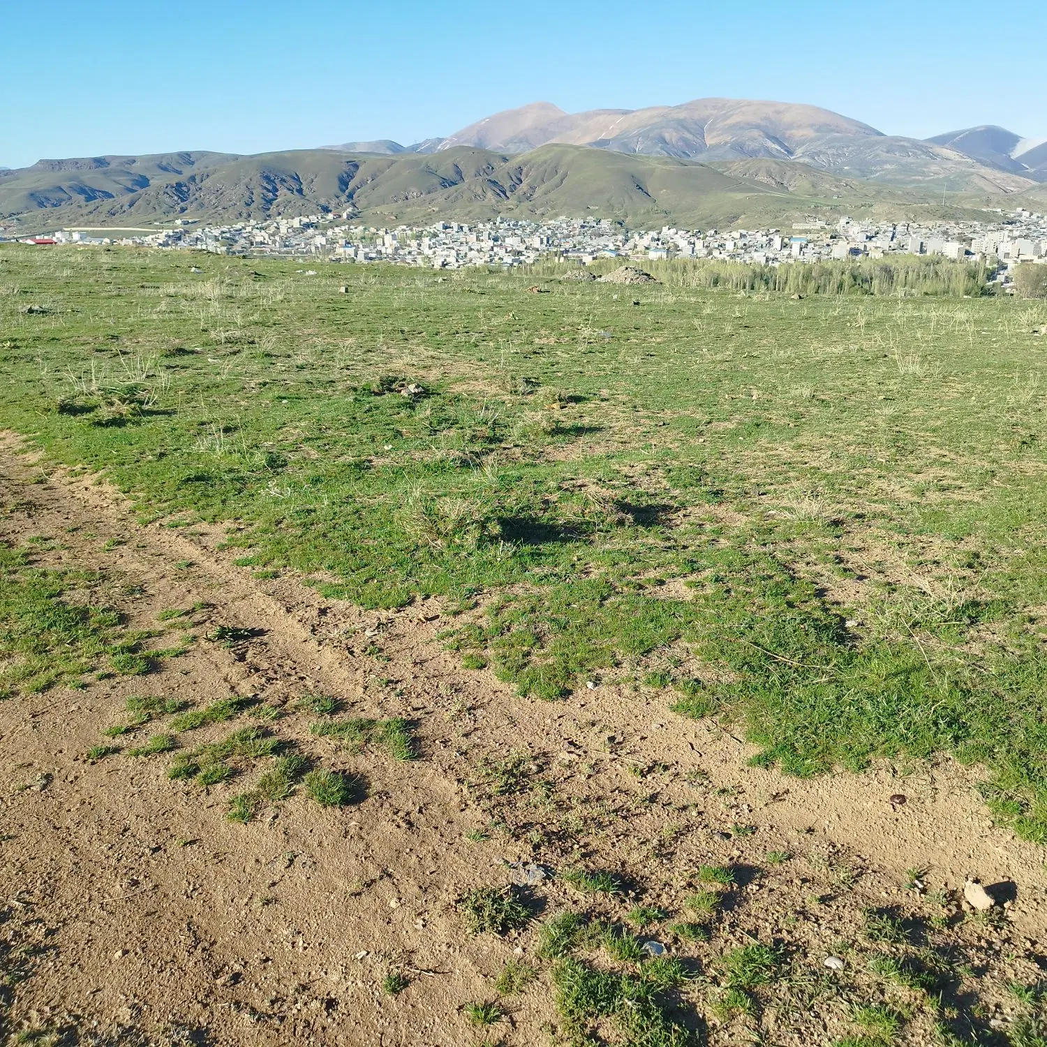 زمین دویست متری با سند مادر و کد رهگیری