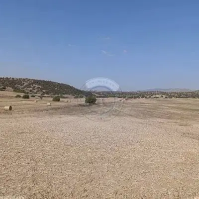 زمین مشاع