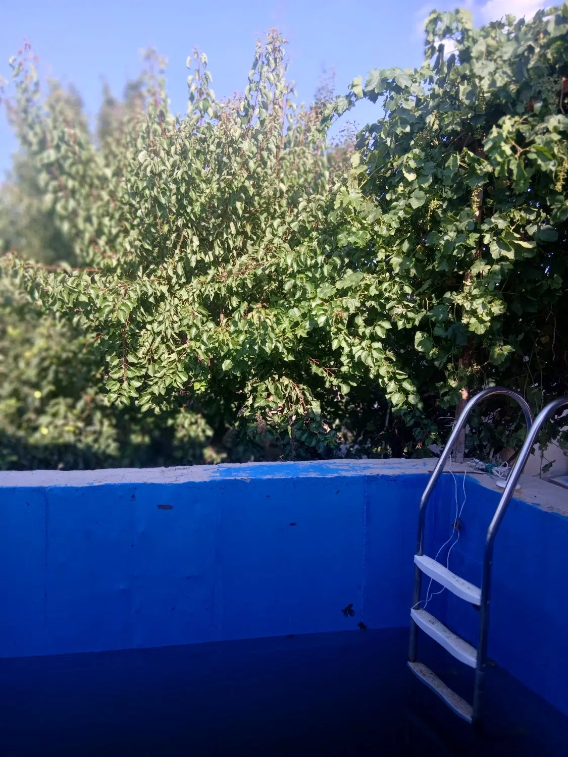 باغ بهترین جای وایقان