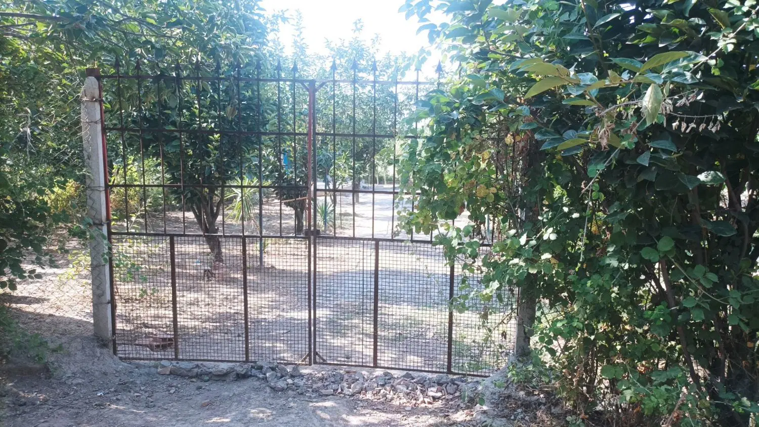 باغ توسکستان