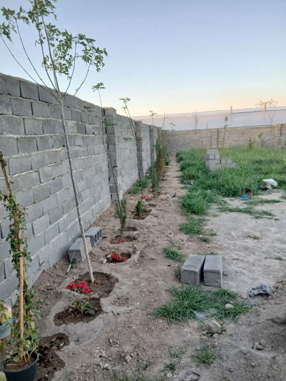 فروش باغچه خوش قیمت