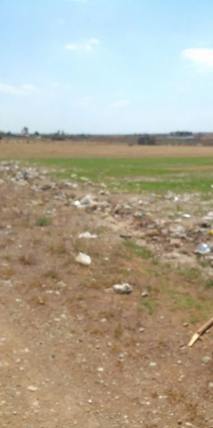 زمین کشاورزی