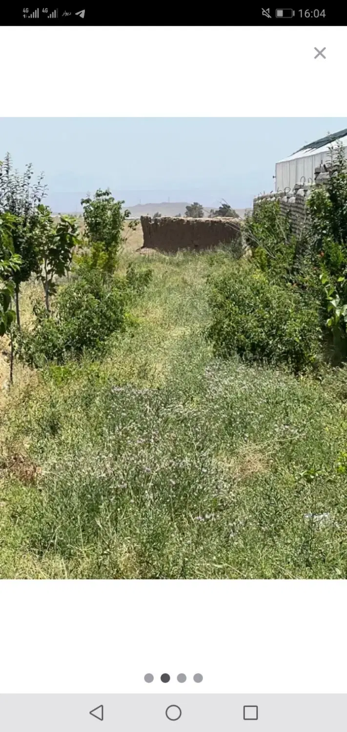 زمین و باغ وشنوه